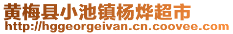 黃梅縣小池鎮(zhèn)楊燁超市