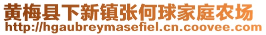黃梅縣下新鎮張何球家庭農場
