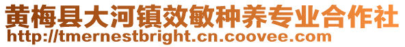 黄梅县大河镇效敏种养专业合作社