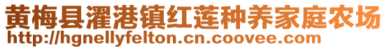 黃梅縣濯港鎮(zhèn)紅蓮種養(yǎng)家庭農(nóng)場