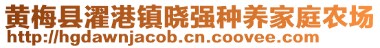 黃梅縣濯港鎮(zhèn)曉強(qiáng)種養(yǎng)家庭農(nóng)場(chǎng)