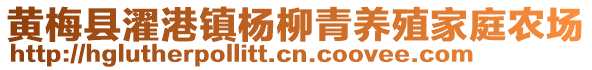 黄梅县濯港镇杨柳青养殖家庭农场