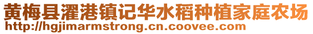 黃梅縣濯港鎮(zhèn)記華水稻種植家庭農(nóng)場