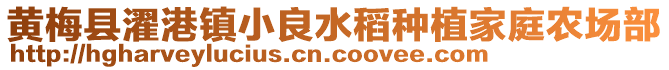 黃梅縣濯港鎮(zhèn)小良水稻種植家庭農(nóng)場部