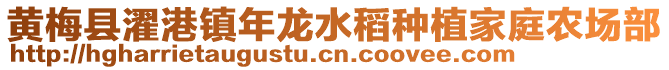 黃梅縣濯港鎮年龍水稻種植家庭農場部