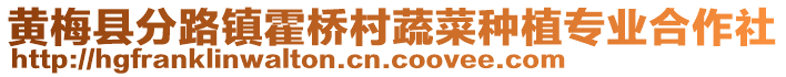 黃梅縣分路鎮(zhèn)霍橋村蔬菜種植專業(yè)合作社