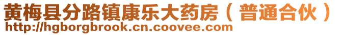 黃梅縣分路鎮(zhèn)康樂大藥房（普通合伙）