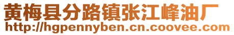 黃梅縣分路鎮(zhèn)張江峰油廠