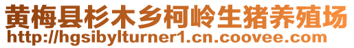 黃梅縣杉木鄉(xiāng)柯嶺生豬養(yǎng)殖場