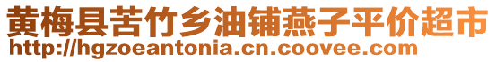 黃梅縣苦竹鄉(xiāng)油鋪燕子平價(jià)超市