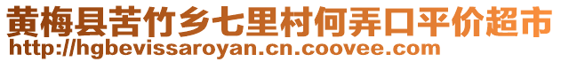 黃梅縣苦竹鄉(xiāng)七里村何弄口平價超市