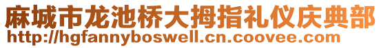 麻城市龍池橋大拇指禮儀慶典部