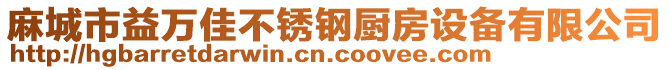 麻城市益萬佳不銹鋼廚房設(shè)備有限公司