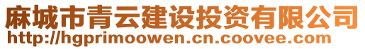 麻城市青云建設(shè)投資有限公司