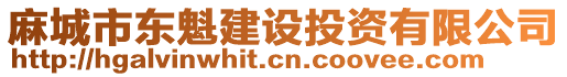 麻城市東魁建設投資有限公司