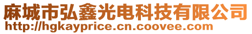 麻城市弘鑫光電科技有限公司