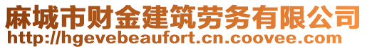 麻城市財金建筑勞務有限公司