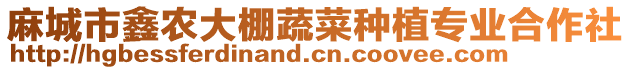 麻城市鑫農(nóng)大棚蔬菜種植專業(yè)合作社