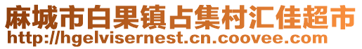 麻城市白果鎮(zhèn)占集村匯佳超市