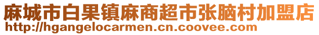 麻城市白果鎮(zhèn)麻商超市張腦村加盟店