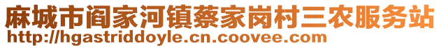 麻城市閻家河鎮(zhèn)蔡家崗村三農(nóng)服務(wù)站