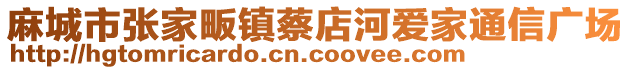 麻城市張家畈鎮(zhèn)蔡店河愛(ài)家通信廣場(chǎng)