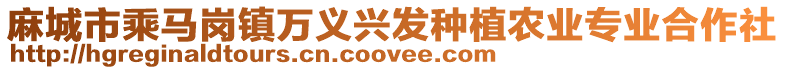 麻城市乘馬崗鎮(zhèn)萬義興發(fā)種植農(nóng)業(yè)專業(yè)合作社