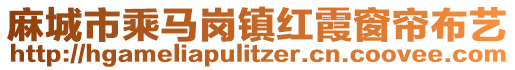 麻城市乘馬崗鎮(zhèn)紅霞窗簾布藝