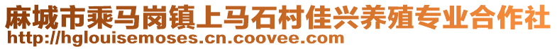 麻城市乘馬崗鎮(zhèn)上馬石村佳興養(yǎng)殖專業(yè)合作社