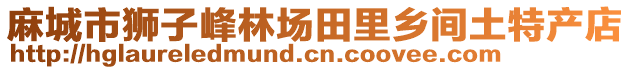 麻城市獅子峰林場(chǎng)田里鄉(xiāng)間土特產(chǎn)店