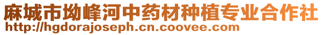 麻城市坳峰河中藥材種植專業(yè)合作社