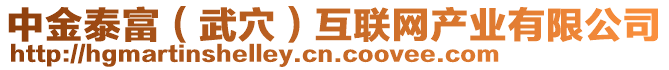 中金泰富（武穴）互聯(lián)網(wǎng)產(chǎn)業(yè)有限公司