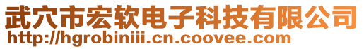 武穴市宏軟電子科技有限公司