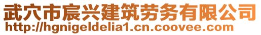 武穴市宸兴建筑劳务有限公司