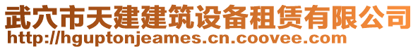 武穴市天建建筑设备租赁有限公司