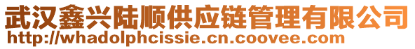 武汉鑫兴陆顺供应链管理有限公司