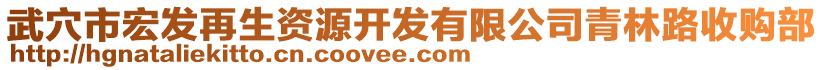 武穴市宏发再生资源开发有限公司青林路收购部