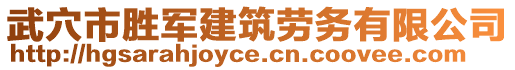 武穴市勝軍建筑勞務(wù)有限公司