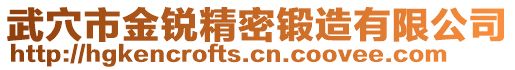 武穴市金銳精密鍛造有限公司