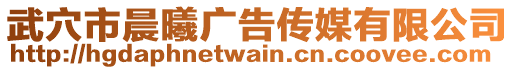 武穴市晨曦廣告?zhèn)髅接邢薰? style=