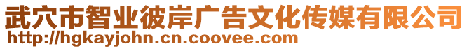 武穴市智業(yè)彼岸廣告文化傳媒有限公司