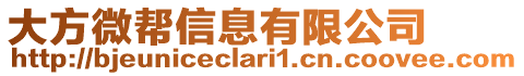 大方微幫信息有限公司