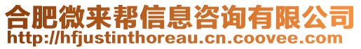 合肥微來幫信息咨詢有限公司