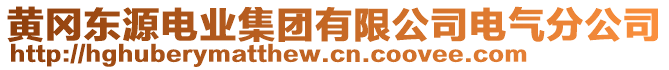 黃岡東源電業(yè)集團有限公司電氣分公司