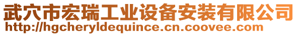 武穴市宏瑞工業(yè)設備安裝有限公司