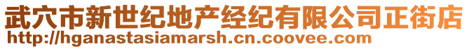 武穴市新世紀(jì)地產(chǎn)經(jīng)紀(jì)有限公司正街店