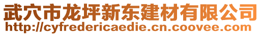 武穴市龍坪新東建材有限公司