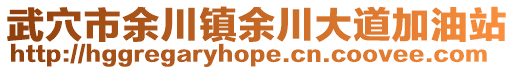 武穴市余川鎮(zhèn)余川大道加油站