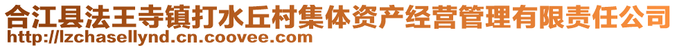 合江縣法王寺鎮(zhèn)打水丘村集體資產(chǎn)經(jīng)營管理有限責(zé)任公司