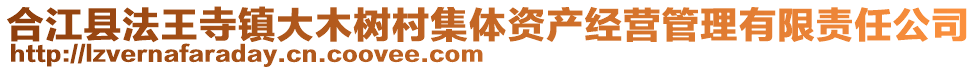 合江縣法王寺鎮(zhèn)大木樹(shù)村集體資產(chǎn)經(jīng)營(yíng)管理有限責(zé)任公司